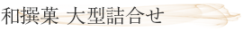 和撰菓 大型詰合せ