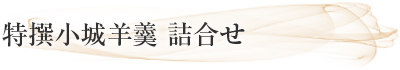 特撰小城羊羹 詰合せ
