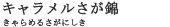 キャラメルさが錦